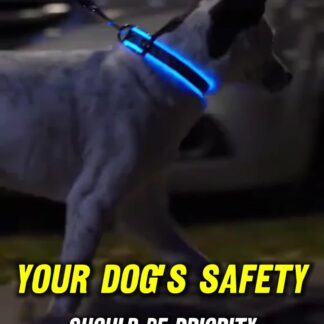 Nylon LED Pet Dog Luminous Collar Night Safety Flashing Glow in Dark Dog Cat Leash Adjustable Pet Supplies