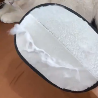 Pet Hair Remover Mitt Pet Hair Remover Gloves Deshedding Brush Glove For Dog Cat Rabbit With Long Short Curly Hair