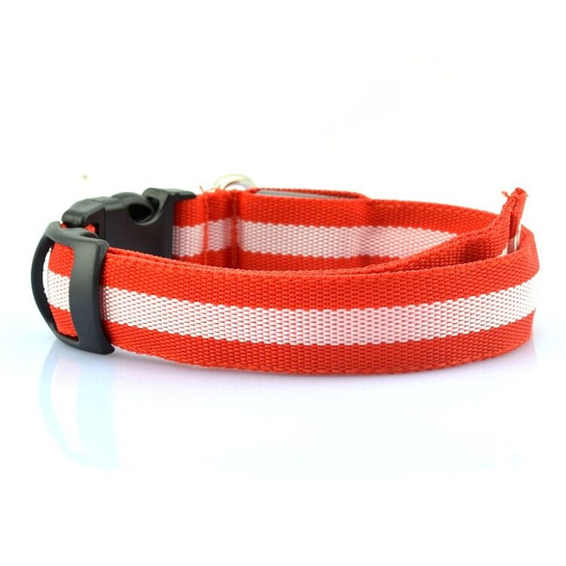 Nylon LED Pet Dog Luminous Collar Night Safety Flashing Glow in Dark Dog Cat Leash Adjustable Pet Supplies