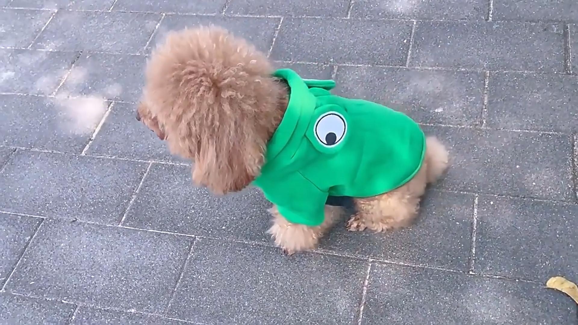 Cute Fruit Dog Clothes For Small Dogs Hoodies Winter Warm Fleece Pet Clothing Puppy Cat Costume Coat For French Chihuahua Outfit