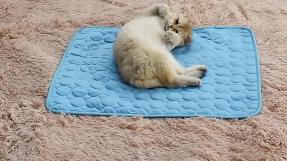 Pet Dog Cat Ice Silk Cold Nest Pad For Cooling In Summer
