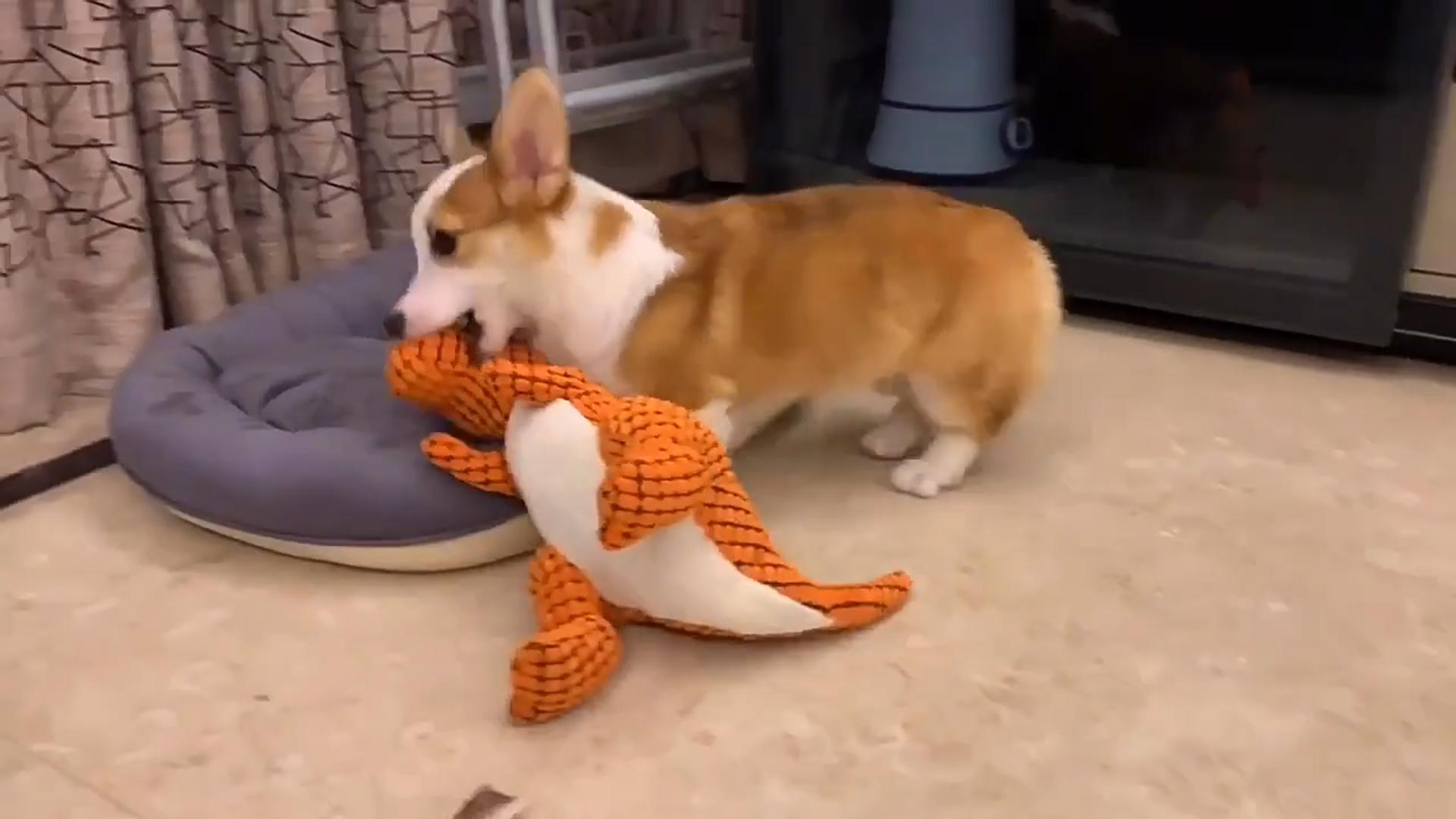 Dinosaur Pet Toys Giant Dogs Pets Interactive Dog Toys For Large Dogs Chew Toys Chihuahua Plush Stuffing Squeakers